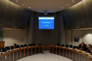 European Commission Presentation
