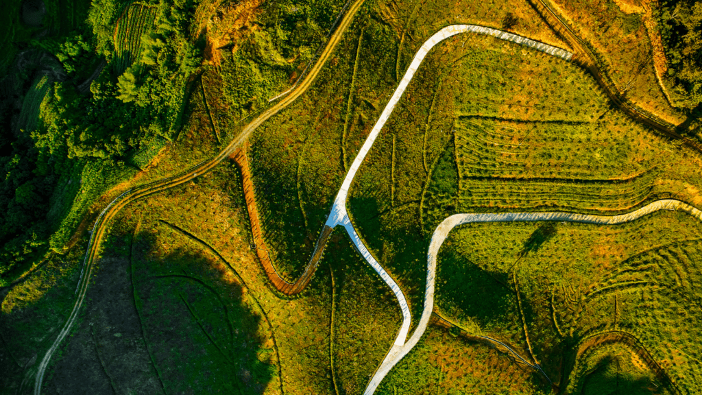 Can carbon markets benefit developing countries?