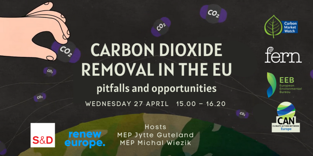 Carbon Dioxide Removal in the EU: pitfalls and opportunities