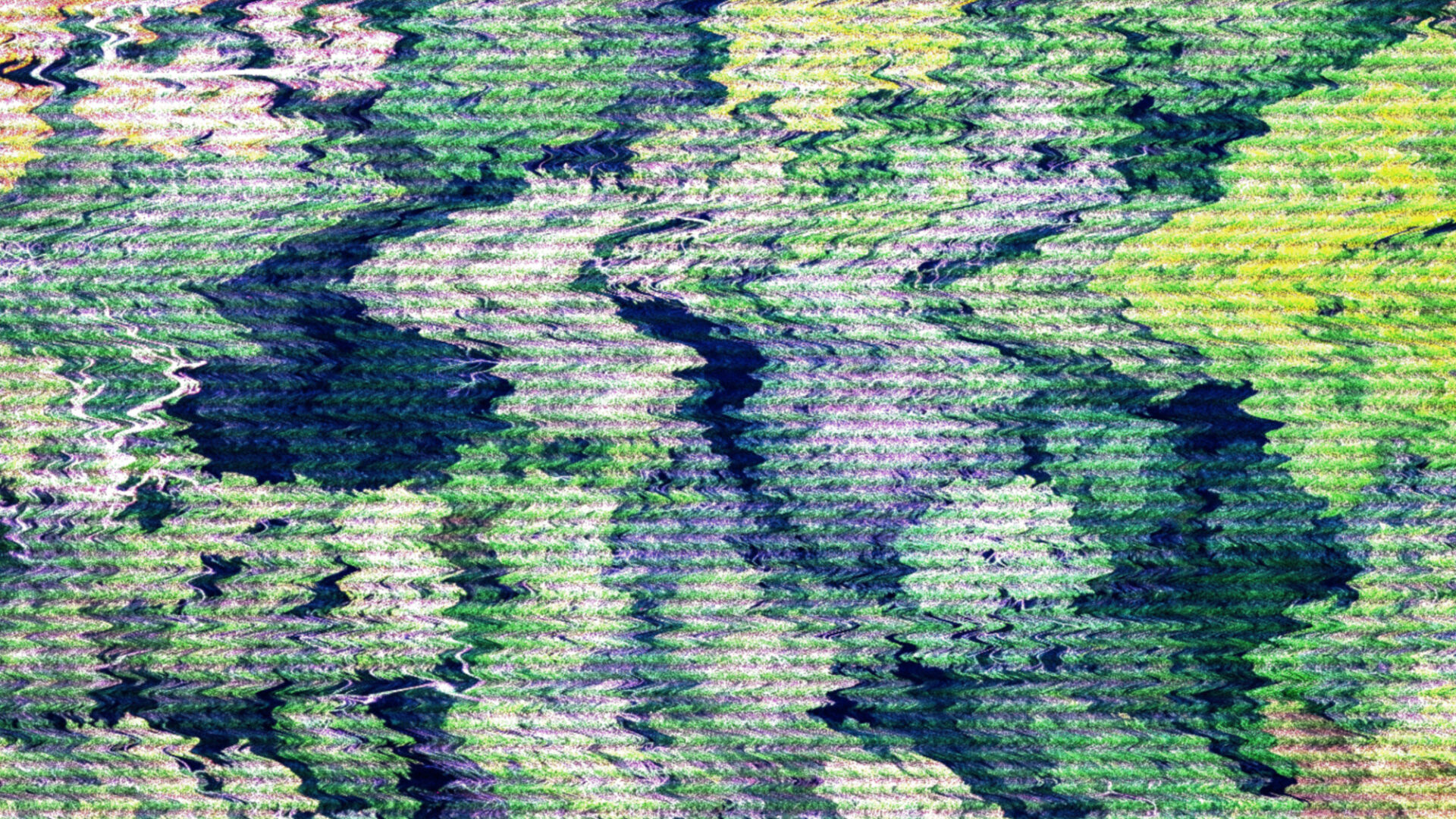 Error log: Exposing the methodological failures of REDD+ forestry projects