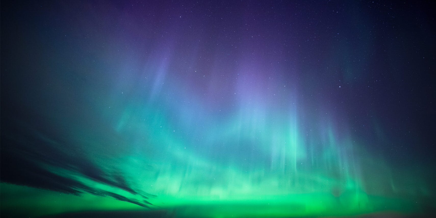 WHISTLEBLOWERS YOUR NEEDS YOU Carbon Market Watch