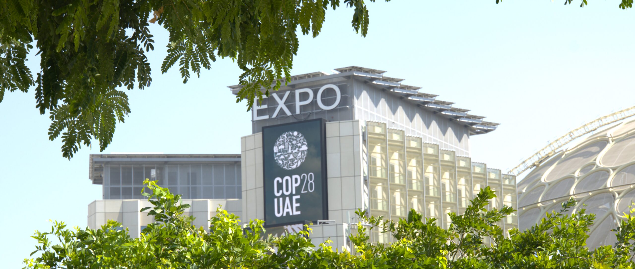 COP28: Article 6 failure avoids a worse outcome 