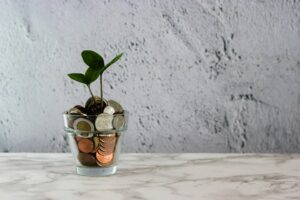 Plant in cup with coins