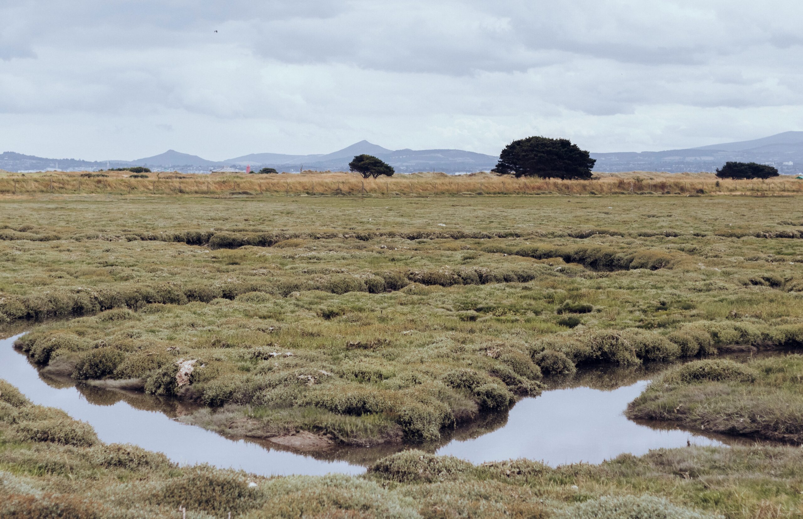 歐盟碳農業方法學弱於巴黎協定標準 (EU carbon farming methodologies weaker than the Paris standard)