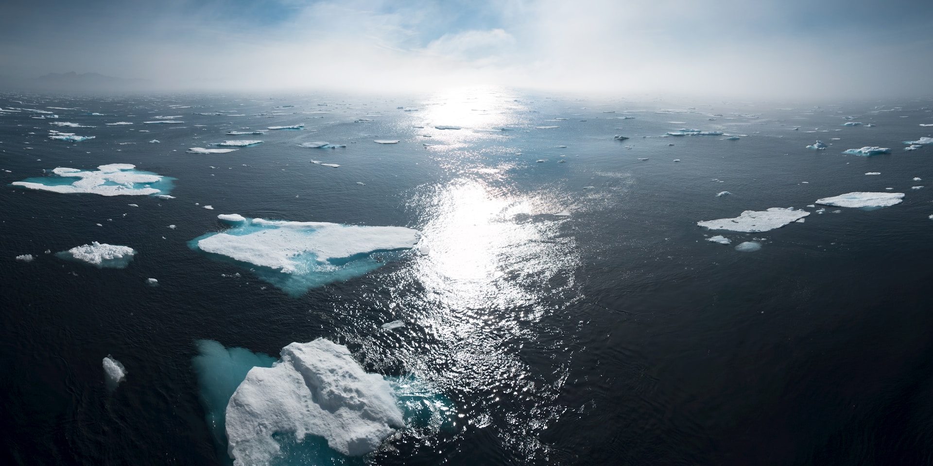 Leaning on carbon removals jeopardises national climate goals, global study concludes