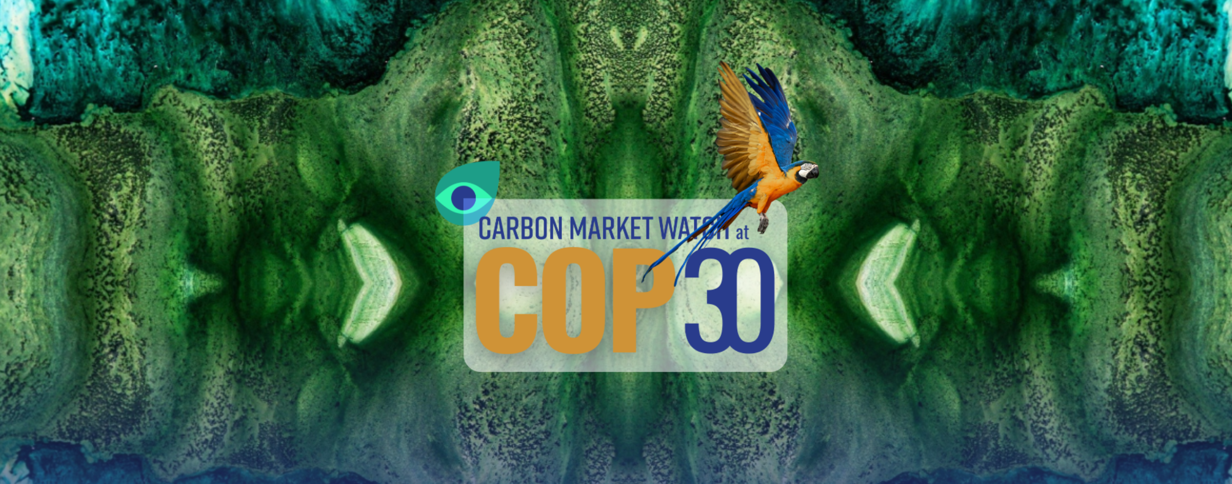 COP30: Attempts to dilute inadequate carbon market rules thwarted