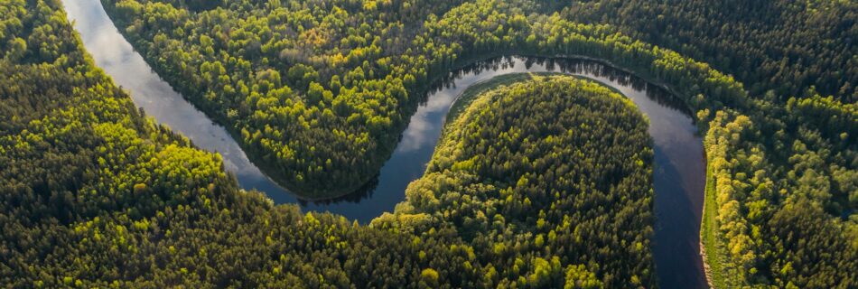 Amazon rainforest