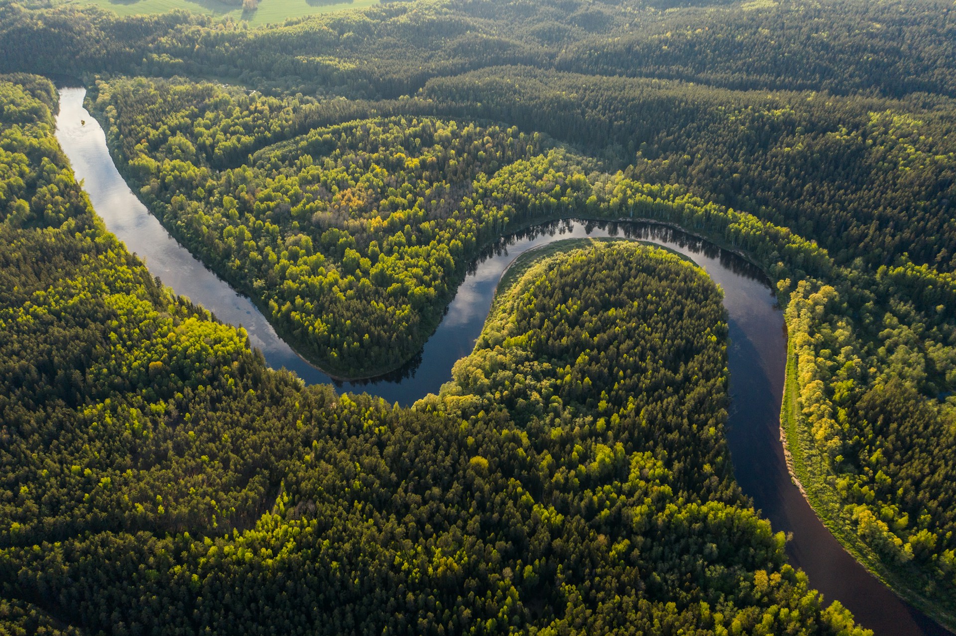 COP30: No to misusing carbon markets to camouflage climate inaction